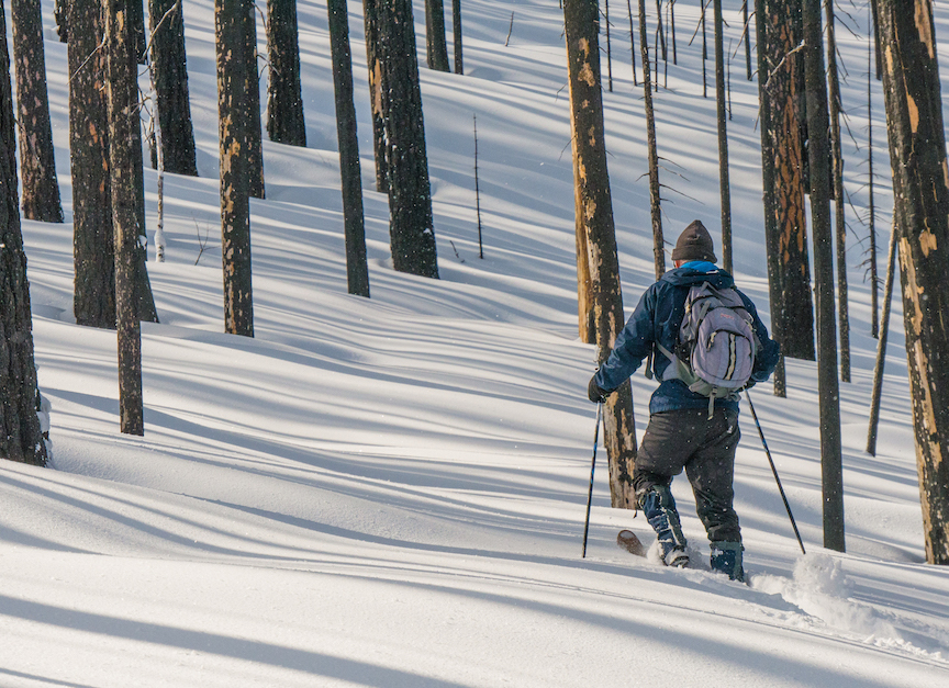 Making a fresh trail on Boulder